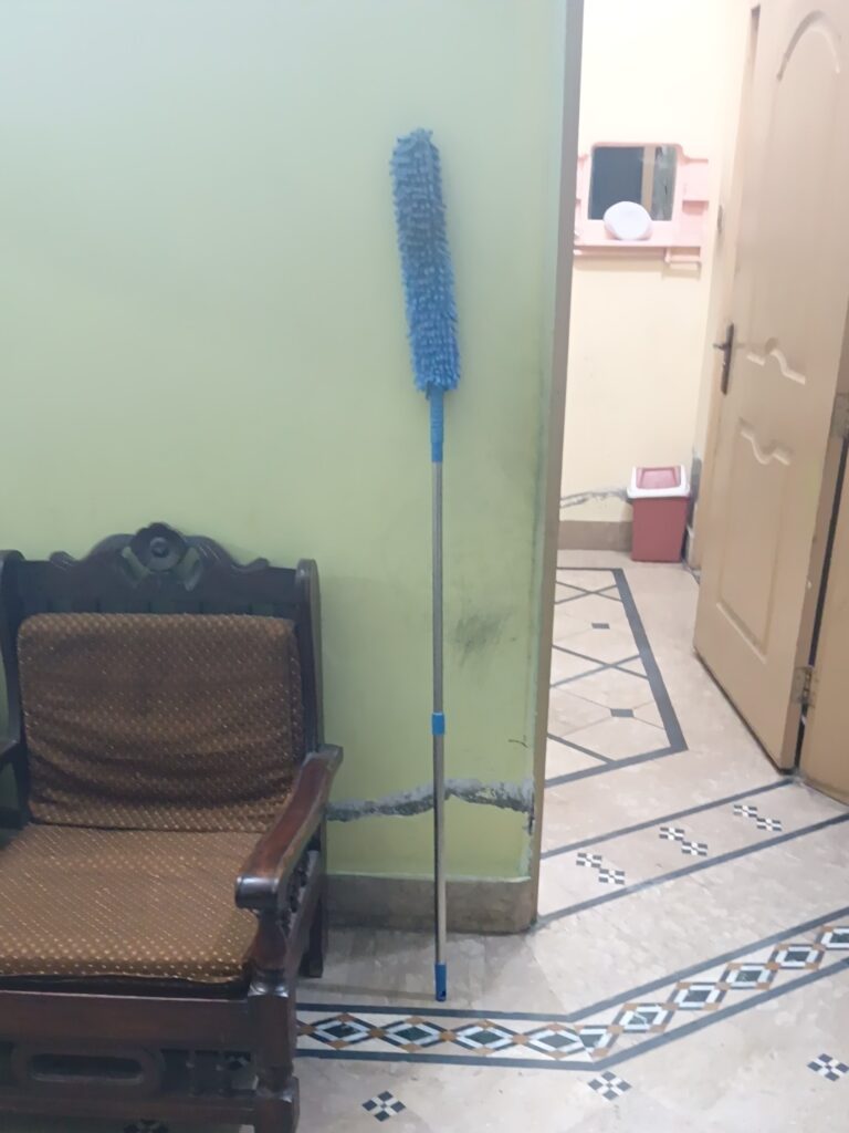 Image #1 from Noor Malik